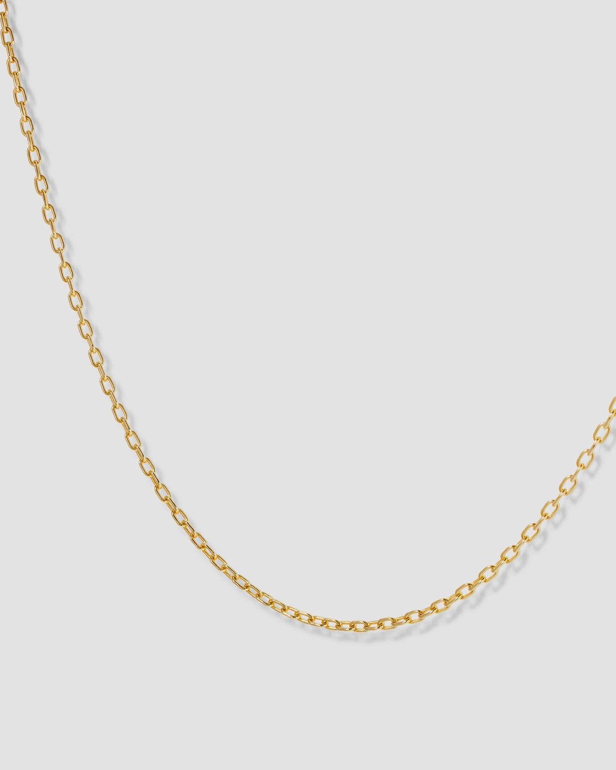 Medium Round Link Chain necklace - close-up detail | womens gold chain
