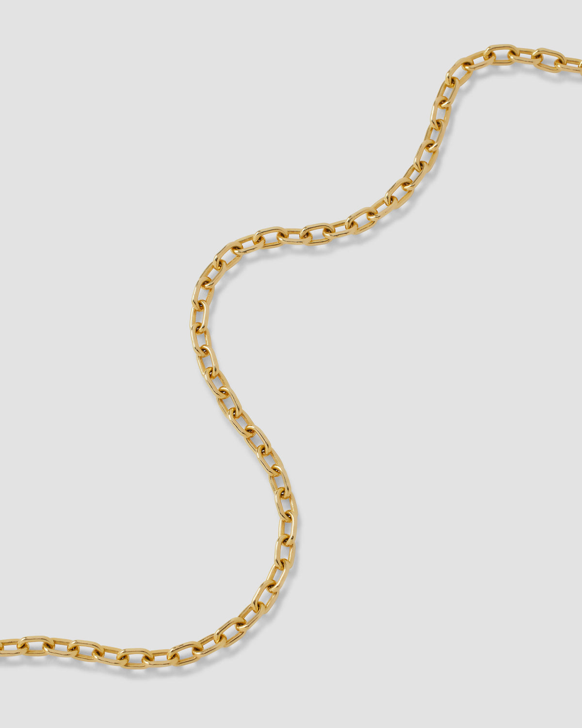 Medium Round Link Chain necklace - styled on model | womens gold chain