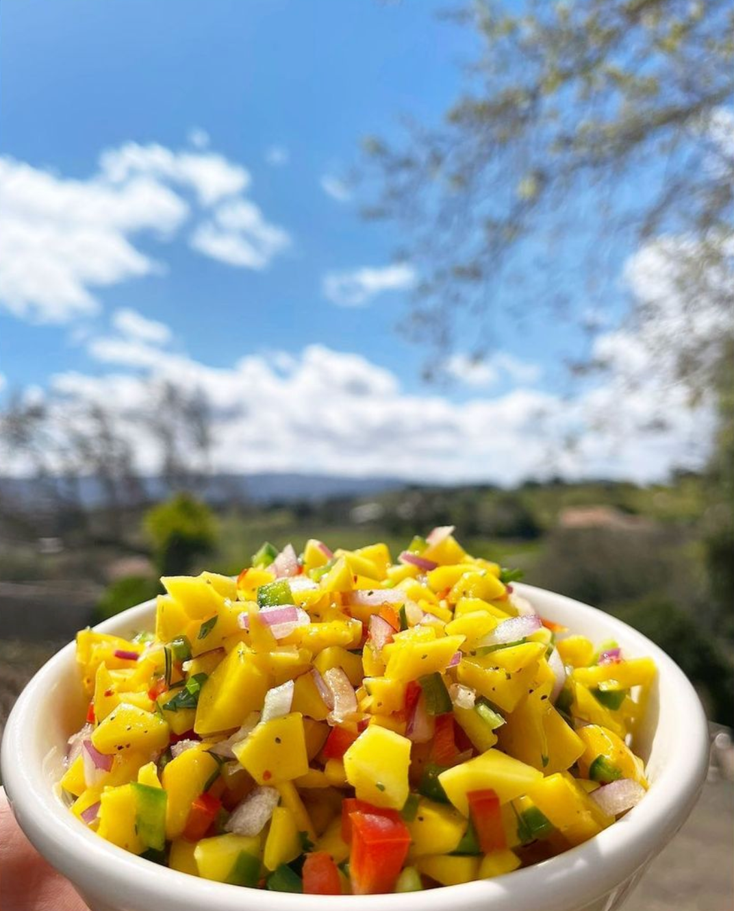 Bowl of mango salsa