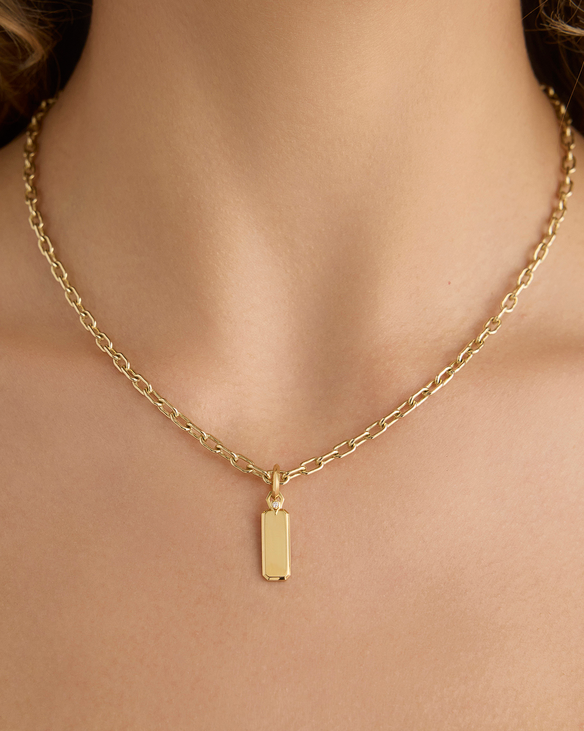 Small Dog Tag